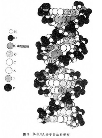 jk黑色丝袜美女被网站