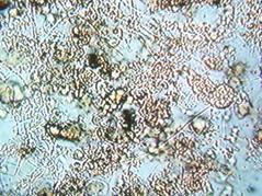 jk黑色丝袜美女被网站