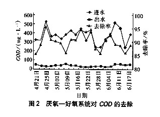 jk黑色丝袜美女被网站
