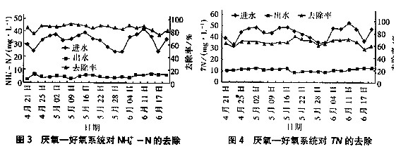 jk黑色丝袜美女被网站