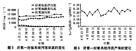 jk黑色丝袜美女被网站