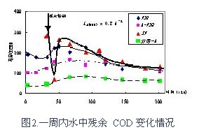 jk黑色丝袜美女被网站