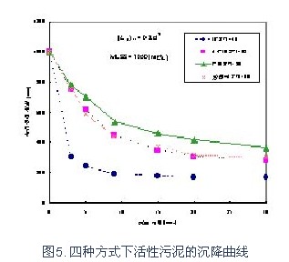 jk黑色丝袜美女被网站