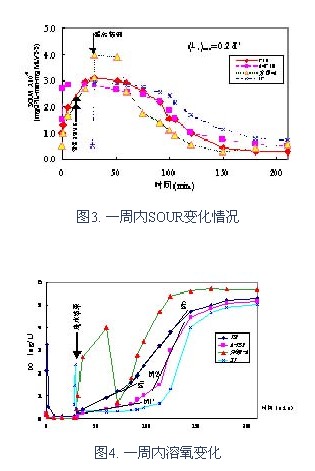 jk黑色丝袜美女被网站