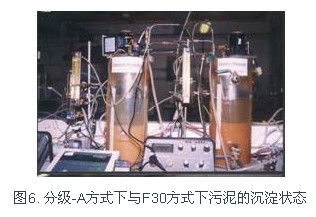 jk黑色丝袜美女被网站