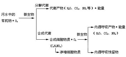 jk黑色丝袜美女被网站