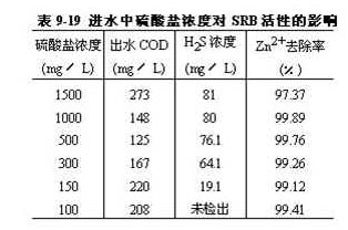 jk黑色丝袜美女被网站