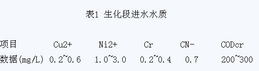 jk黑色丝袜美女被网站