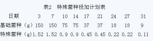 jk黑色丝袜美女被网站