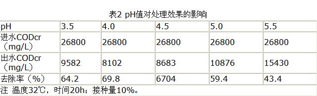 jk黑色丝袜美女被网站