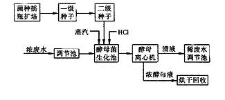 jk黑色丝袜美女被网站