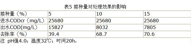 jk黑色丝袜美女被网站