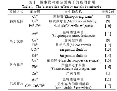jk黑色丝袜美女被网站