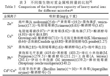 jk黑色丝袜美女被网站