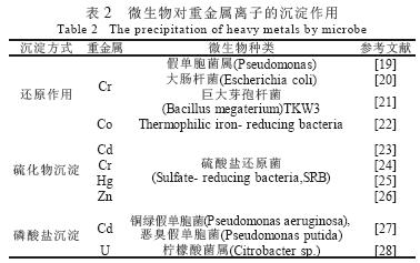 jk黑色丝袜美女被网站