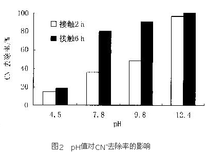 jk黑色丝袜美女被网站