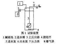 jk黑色丝袜美女被网站
