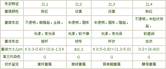jk黑色丝袜美女被网站