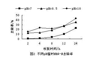 jk黑色丝袜美女被网站