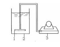 jk黑色丝袜美女被网站