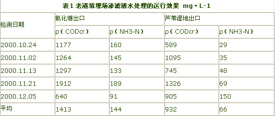 jk黑色丝袜美女被网站