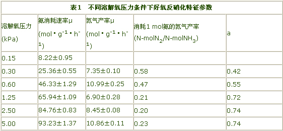 jk黑色丝袜美女被网站
