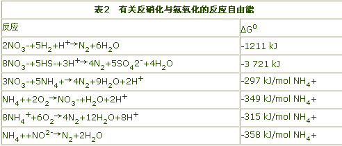 jk黑色丝袜美女被网站