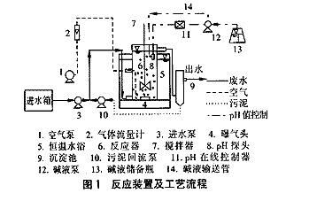 jk黑色丝袜美女被网站