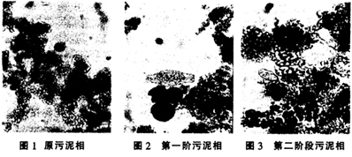 jk黑色丝袜美女被网站
