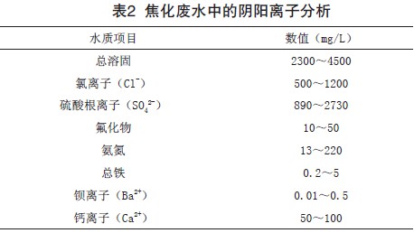 jk黑色丝袜美女被网站
