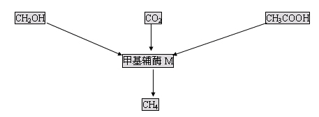 jk黑色丝袜美女被网站