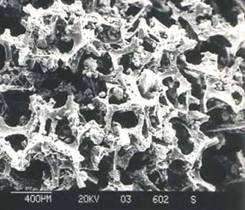 jk黑色丝袜美女被网站