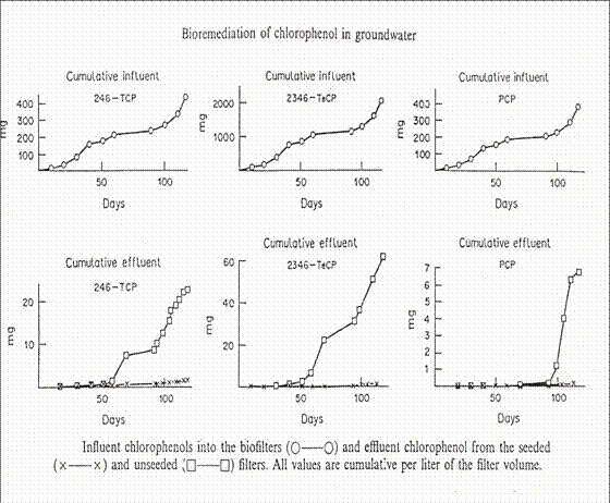 jk黑色丝袜美女被网站