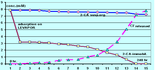 jk黑色丝袜美女被网站