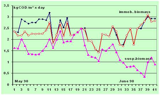 jk黑色丝袜美女被网站