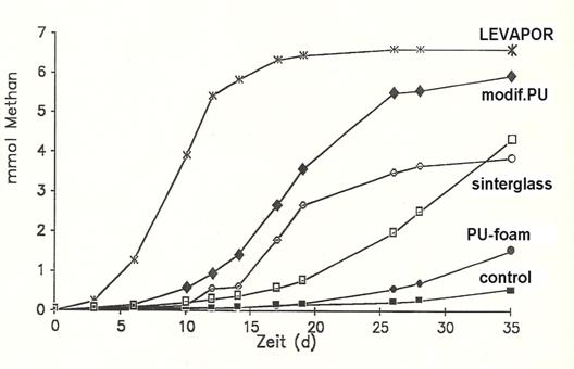 jk黑色丝袜美女被网站