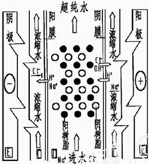 jk黑色丝袜美女被网站