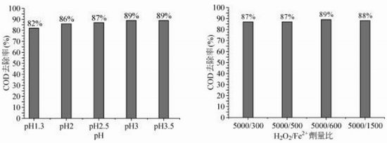 jk黑色丝袜美女被网站
