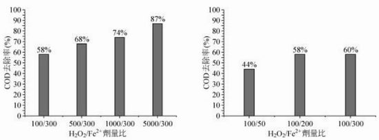 jk黑色丝袜美女被网站