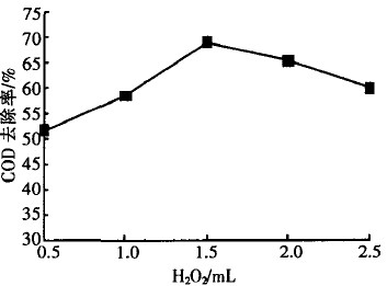 jk黑色丝袜美女被网站