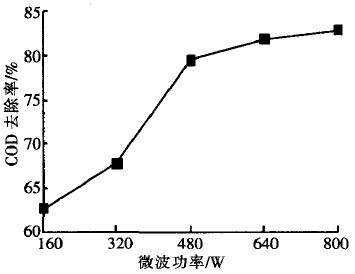 jk黑色丝袜美女被网站