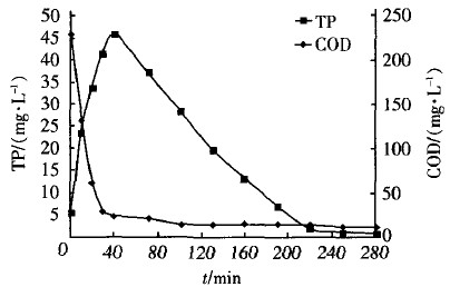 jk黑色丝袜美女被网站