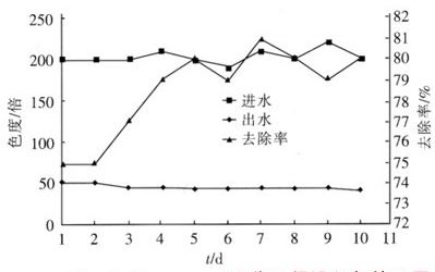 jk黑色丝袜美女被网站