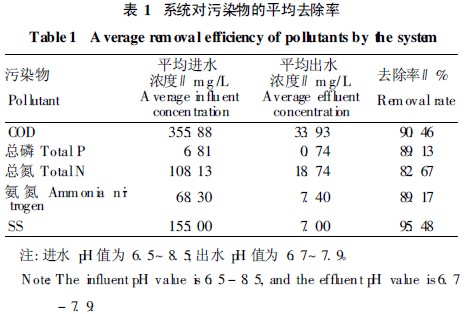 jk黑色丝袜美女被网站