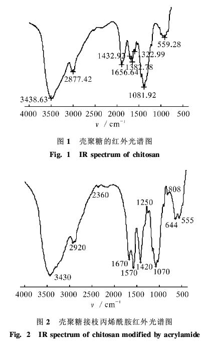 jk黑色丝袜美女被网站