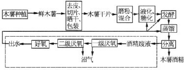 jk黑色丝袜美女被网站