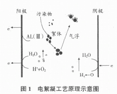 jk黑色丝袜美女被网站