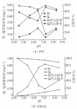jk黑色丝袜美女被网站