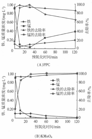 jk黑色丝袜美女被网站