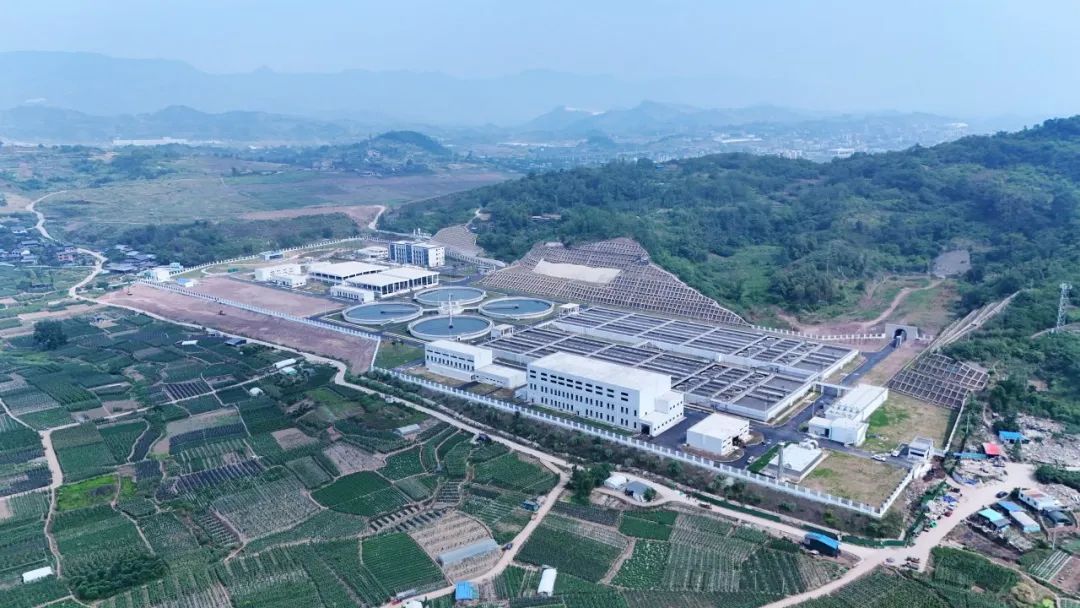 jk黑色丝袜美女被网站